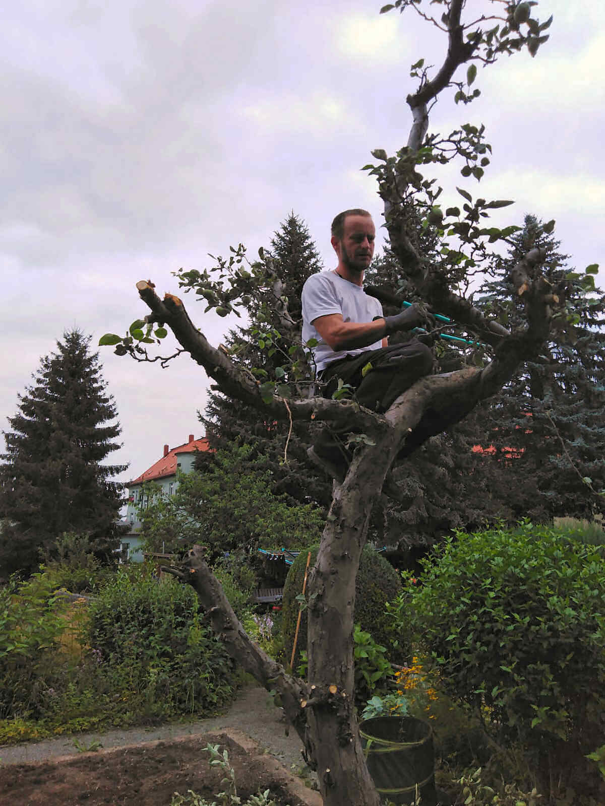 Leistungen im Außenbereich